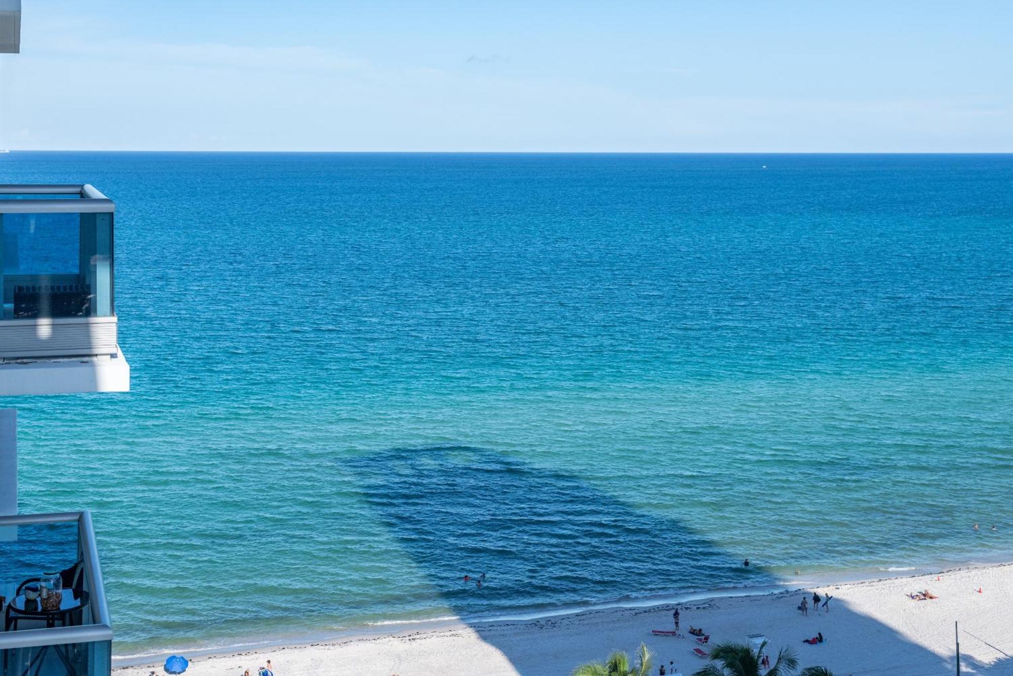 Bluebird Monte Carlo Miami Apartamento Miami Beach